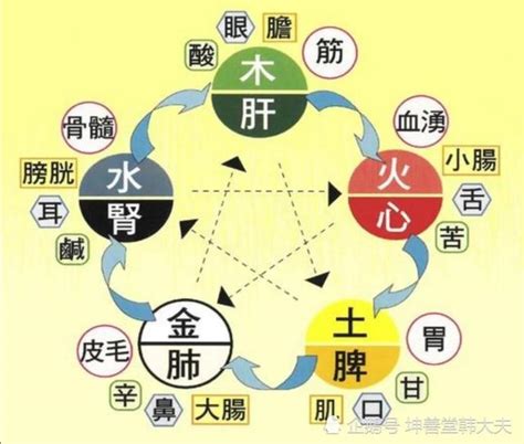 中醫五行|中醫基礎/五行學說